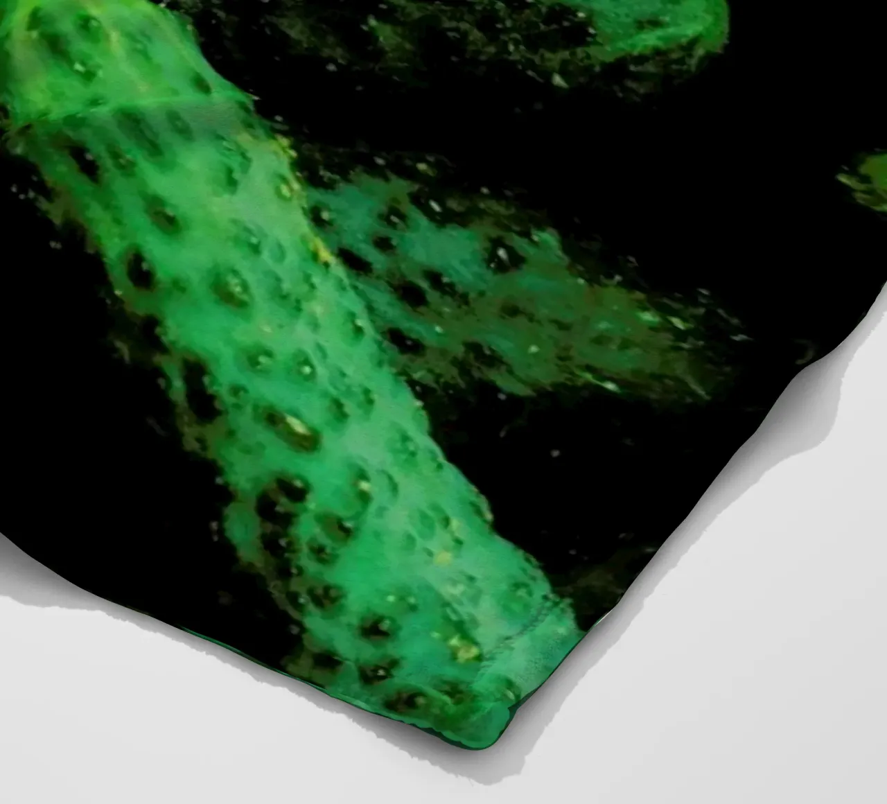 Pickles Fleecedecke von Sebastian Hilgetag