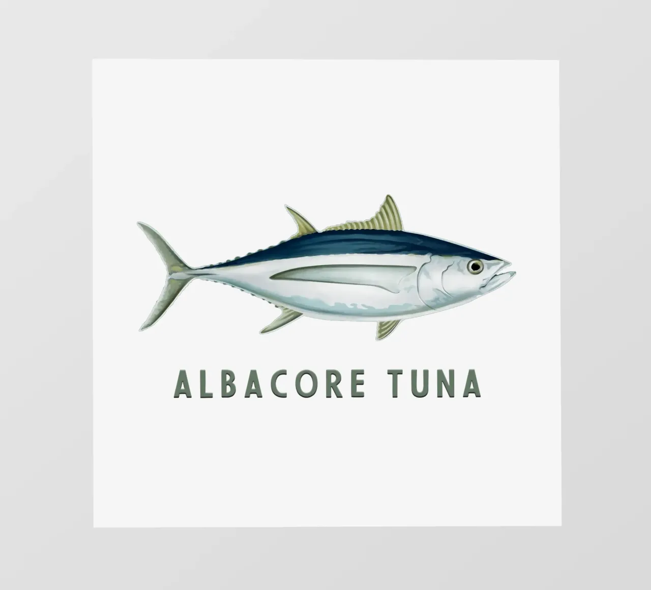 Tonno alalunga Pesce d'acqua salata telo in pvc da singpentinksale