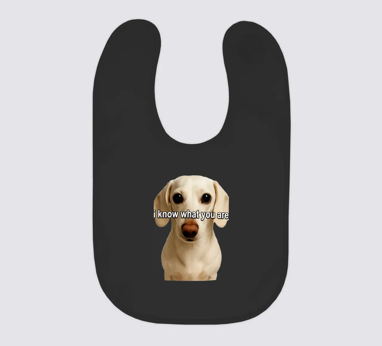 So cosa sei bavaglino da singpentinksale