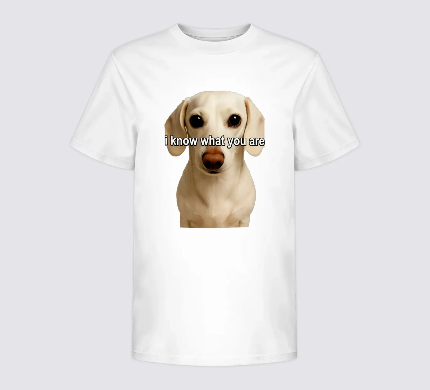 I know What You Are t-shirt bambini da singpentinksale