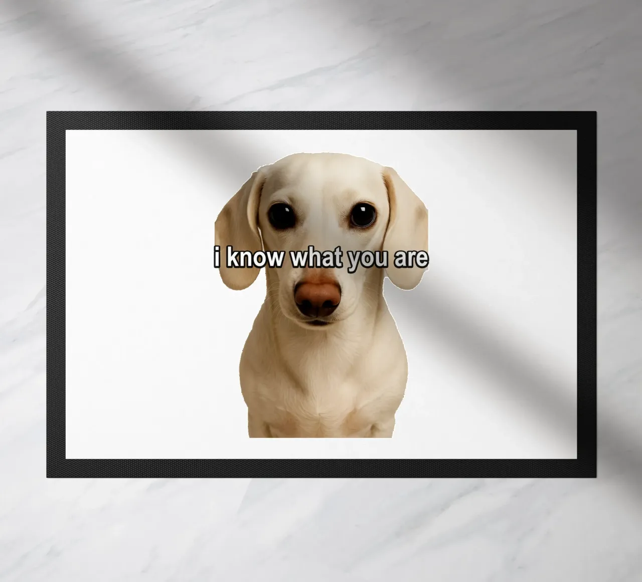 So cosa sei zerbino da singpentinksale