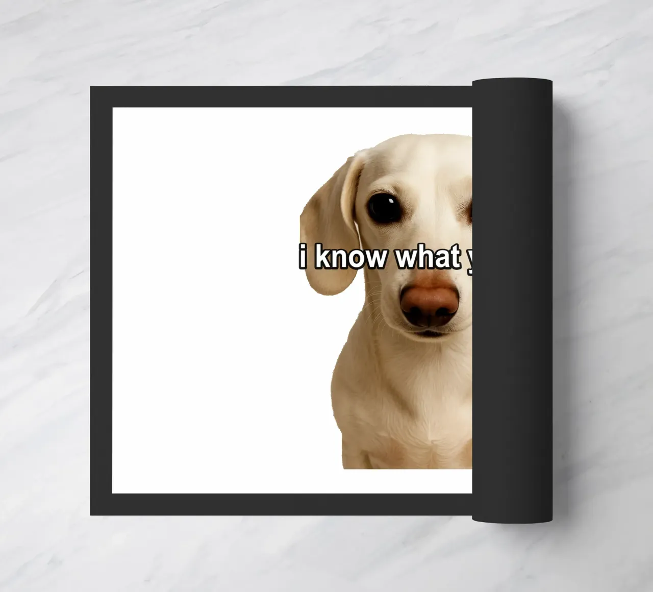 So cosa sei zerbino da singpentinksale