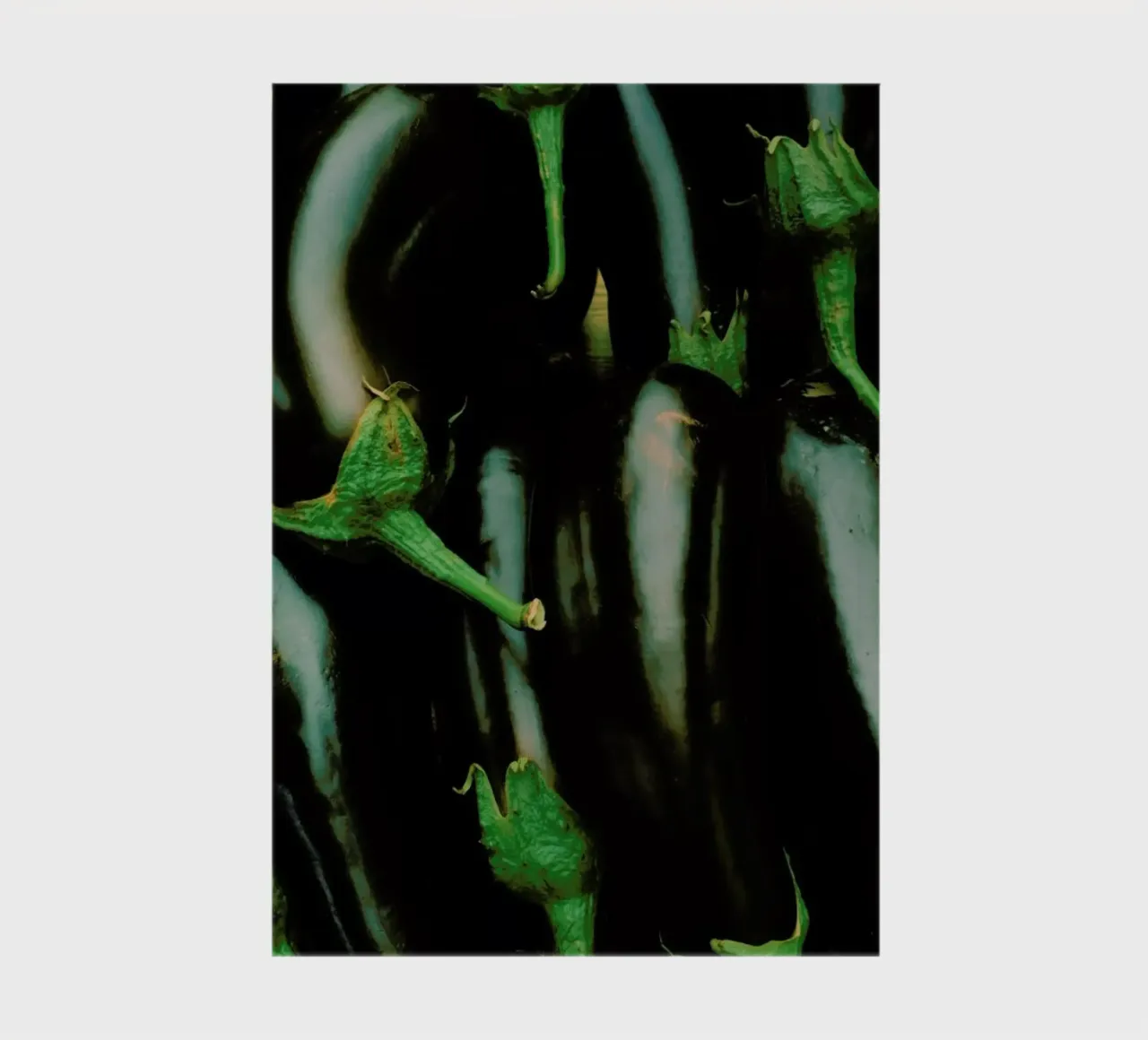 Aubergine Overload carnet de notes de Sebastian Hilgetag