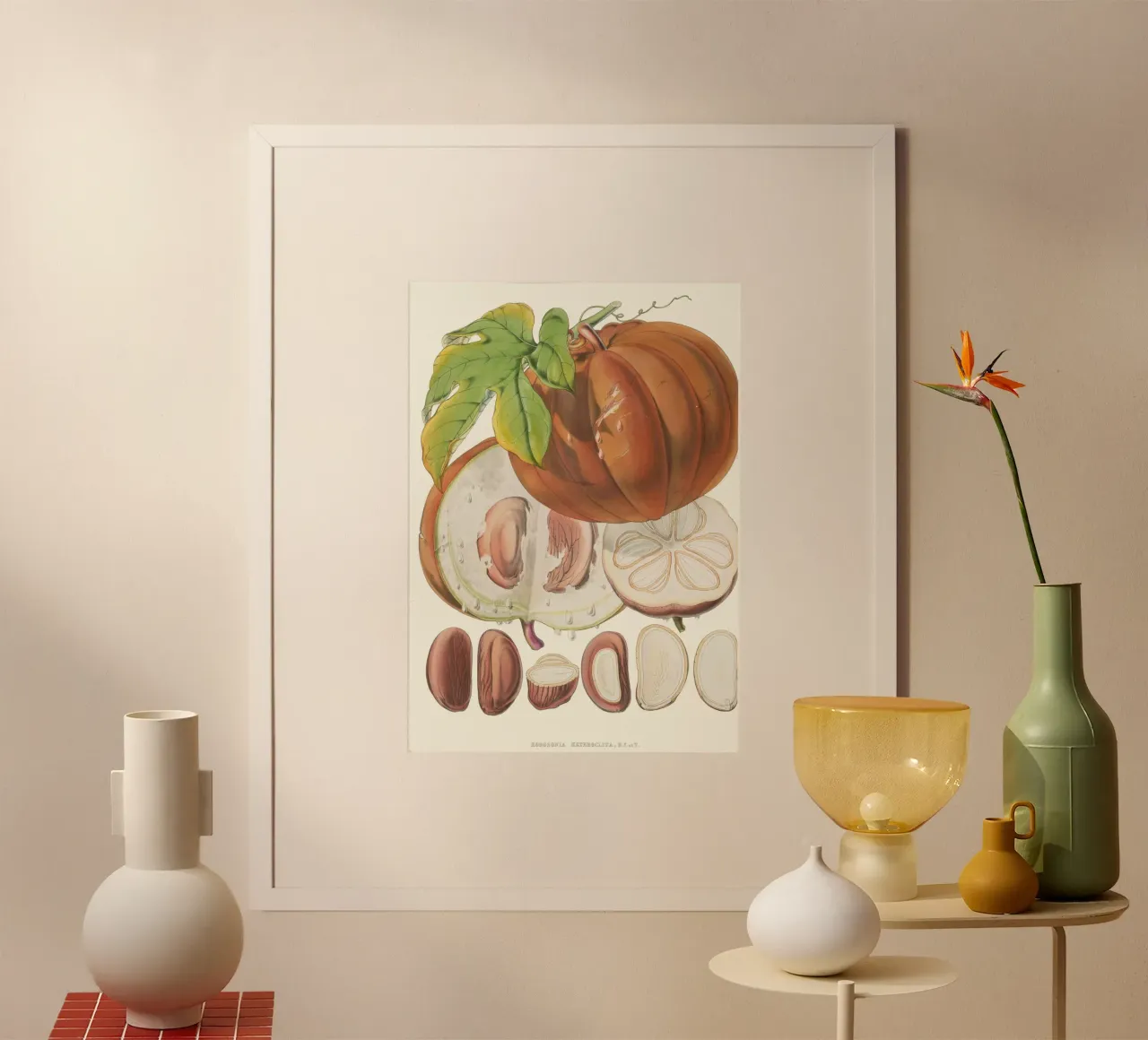 Illustrazione botanica d'epoca della noce moscata - "Horsfieldia Hetrocl poster da ClubArt