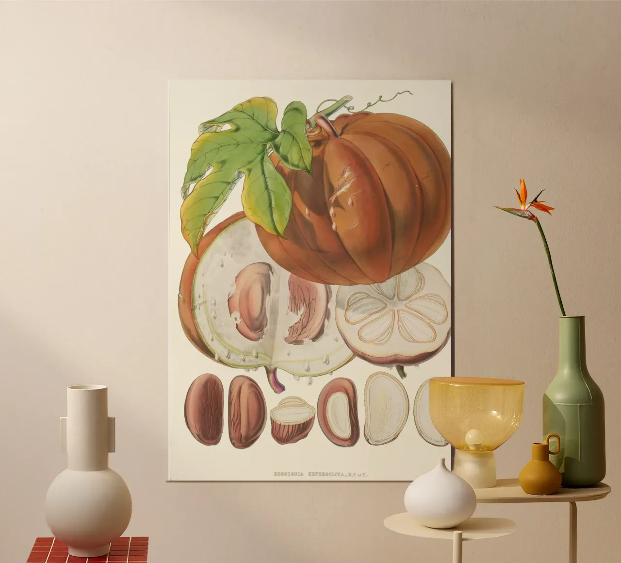 Illustrazione botanica d'epoca della noce moscata - "Horsfieldia Hetrocl poster da ClubArt