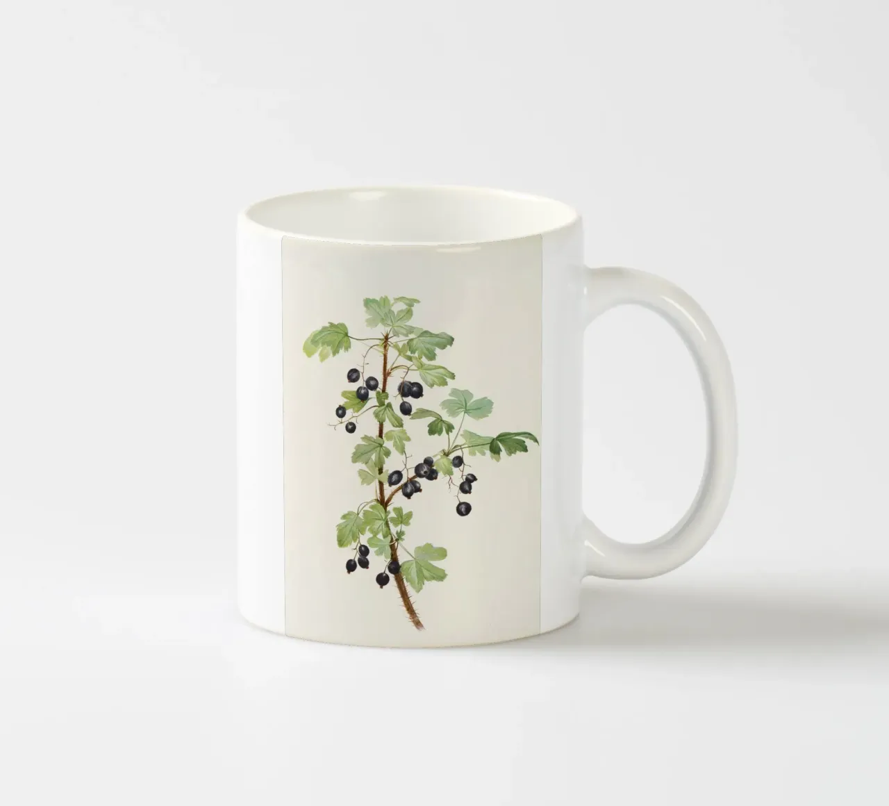 Stampa botanica vintage sul ribes nero - Ribes Nigrum Art tazza in ceramica da ClubArt