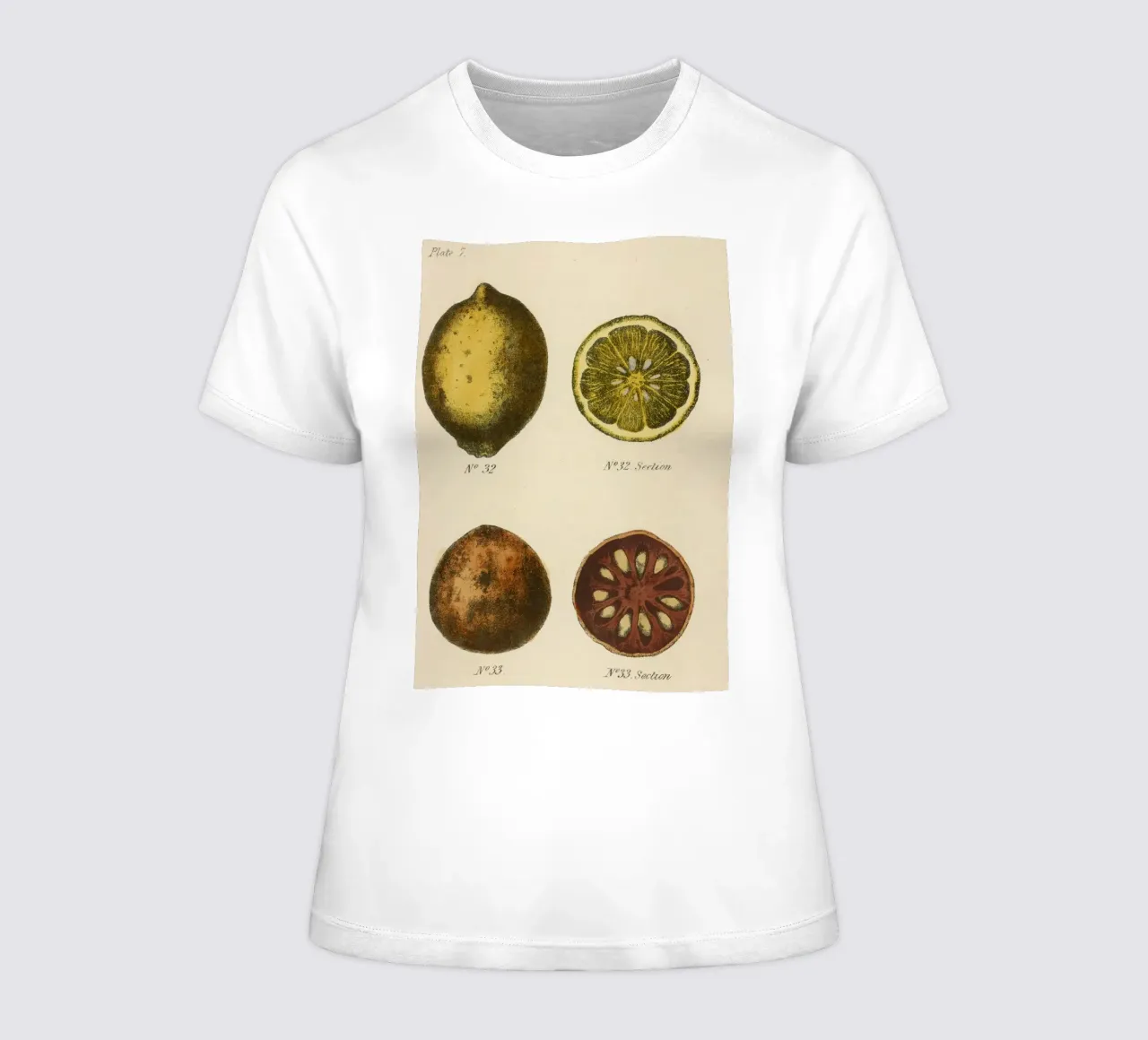 Vintage Citrus Botanical Plate - Lemon & Quince Art women's fitted t-shirt by ClubArt