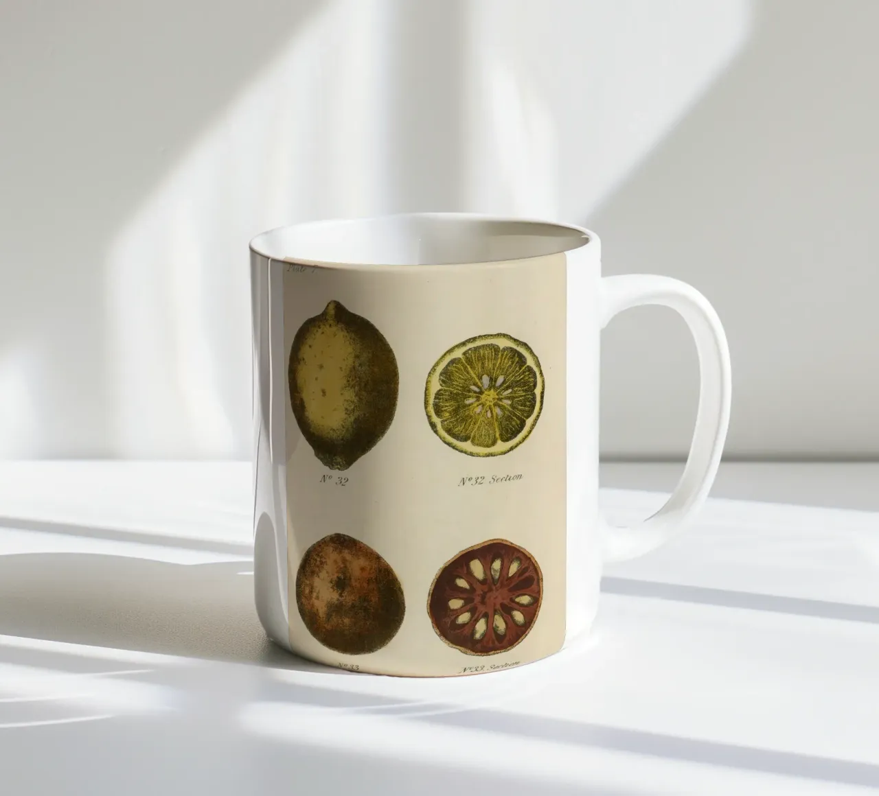 Vintage Citrus Botanical Plate - Lemon & Quince Art ceramic mug by ClubArt