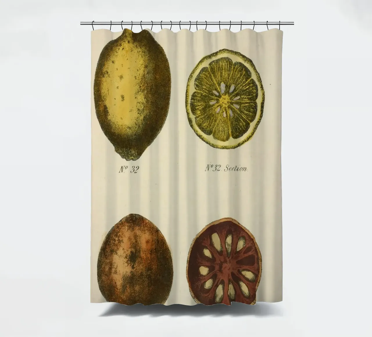 Vintage Citrus Botanical Plate - Lemon & Quince Art shower curtain by ClubArt