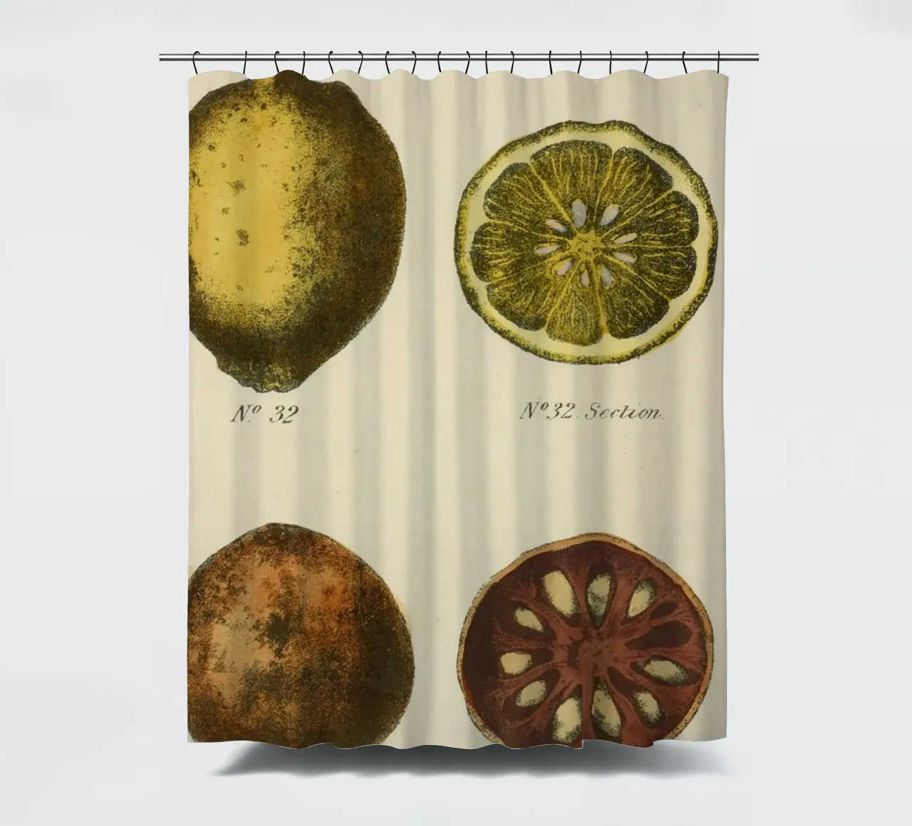 Vintage Citrus Botanical Plate - Lemon & Quince Art shower curtain by ClubArt