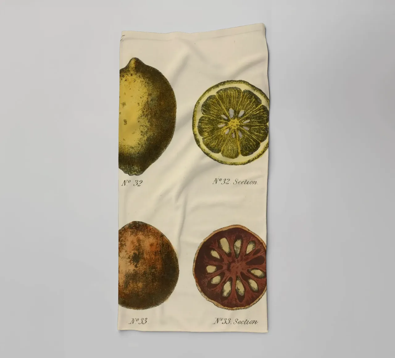Vintage Citrus Botanical Plate - Lemon & Quince Art towel by ClubArt