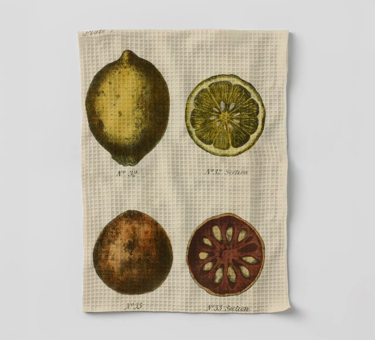 Vintage Citrus Botanical Plate - Lemon & Quince Art tea towel by ClubArt