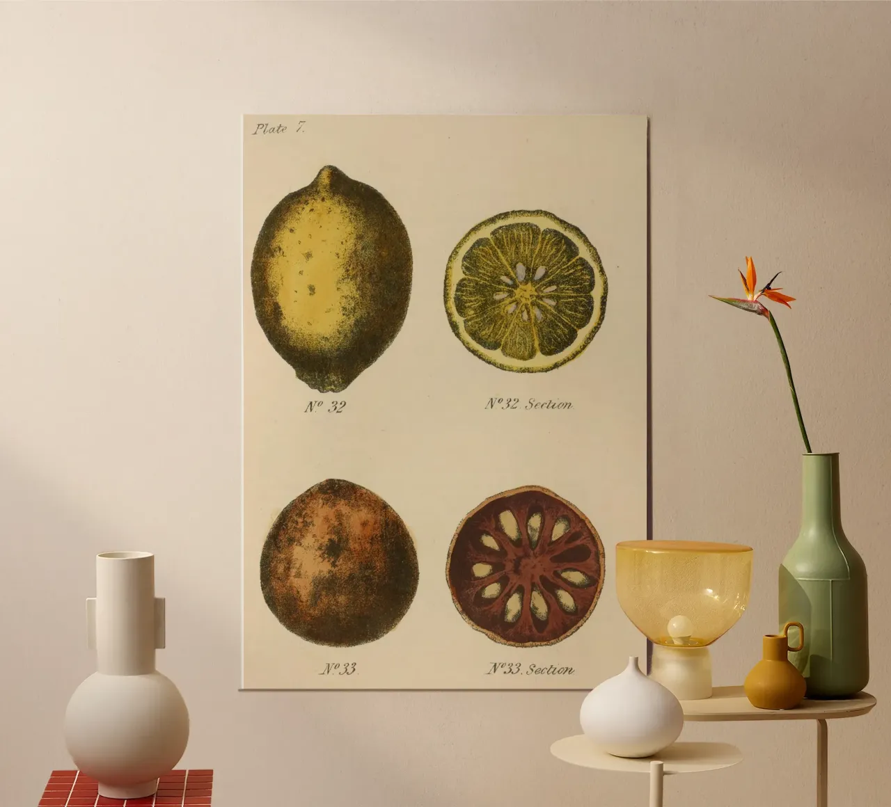 Vintage Citrus Botanical Plate - Lemon & Quince Art alu-dibond by ClubArt