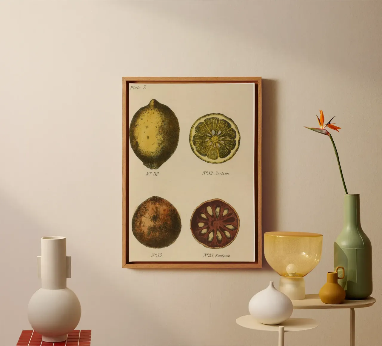Vintage Citrus Botanical Plate - Lemon & Quince Art canvas with Floater frame by ClubArt