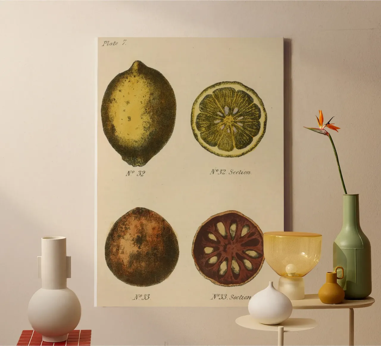 Vintage Citrus Botanical Plate - Lemon & Quince Art canvas with Floater frame by ClubArt
