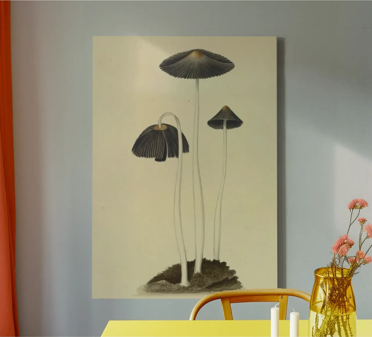 Vintage Ink Cap Mushroom Botanical Art Print canvas with Floater frame by ClubArt