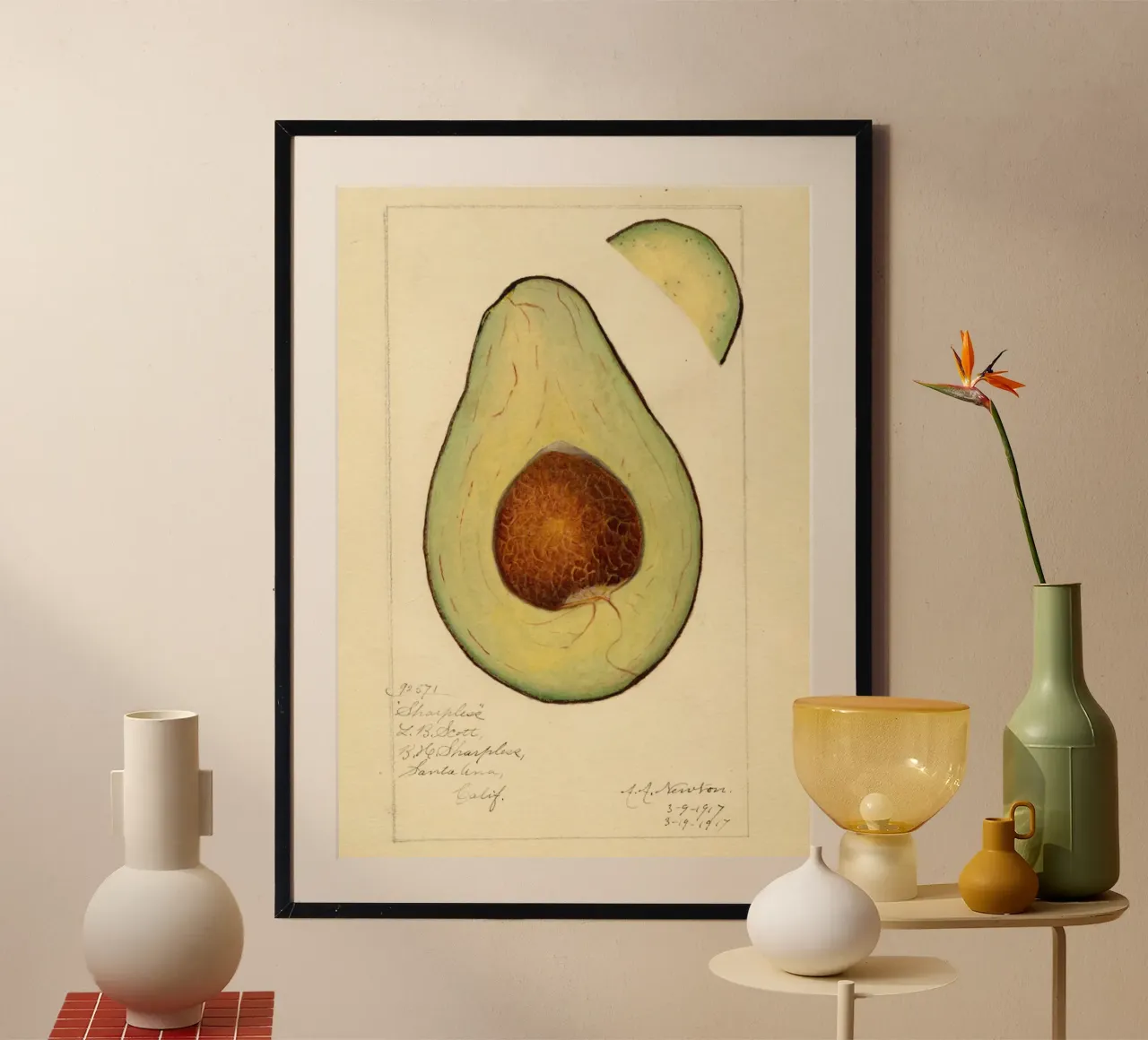 Stampa botanica vintage sull'avocado - Sharpless Variety Art poster da ClubArt