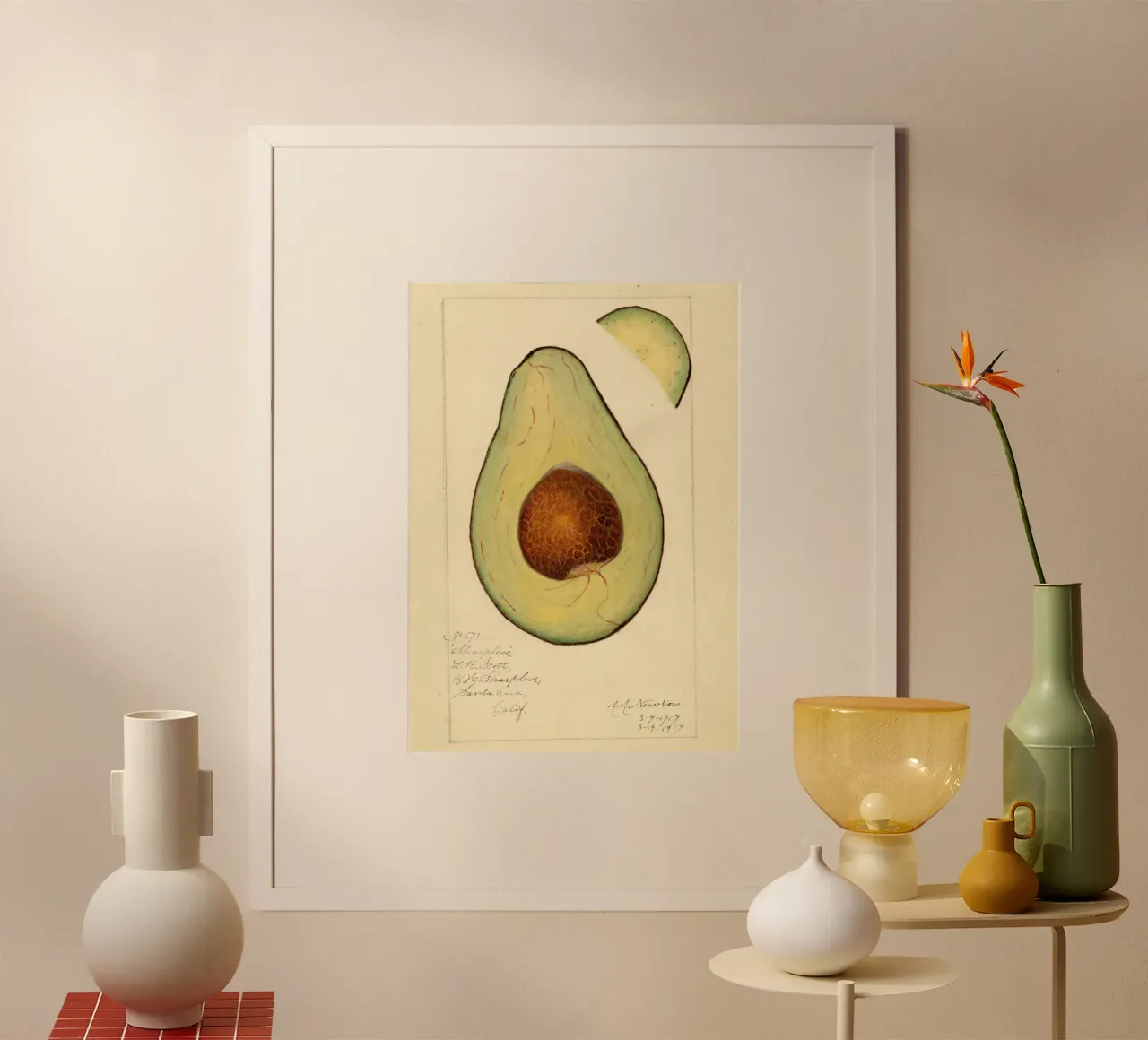 Stampa botanica vintage sull'avocado - Sharpless Variety Art poster da ClubArt