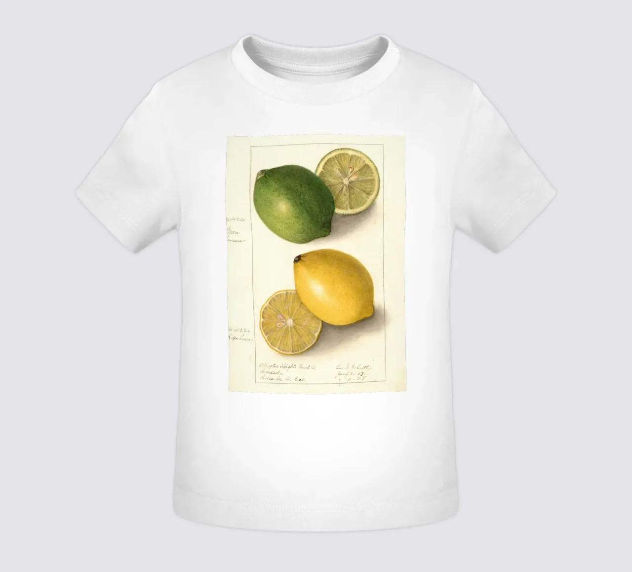 Vintage Lemon & Lime Botanical Print - Citrus Kitchen Art baby t-shirt by ClubArt