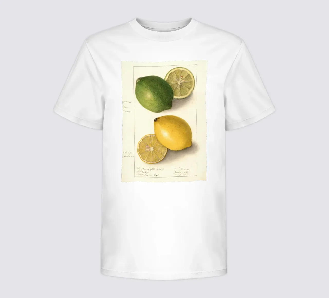 Vintage Lemon & Lime Botanical Print - Citrus Kitchen Art kids t-shirt by ClubArt