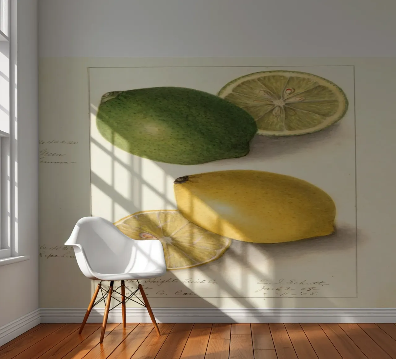 Vintage Lemon & Lime Botanical Print - Citrus Kitchen Art photo wallpaper by ClubArt