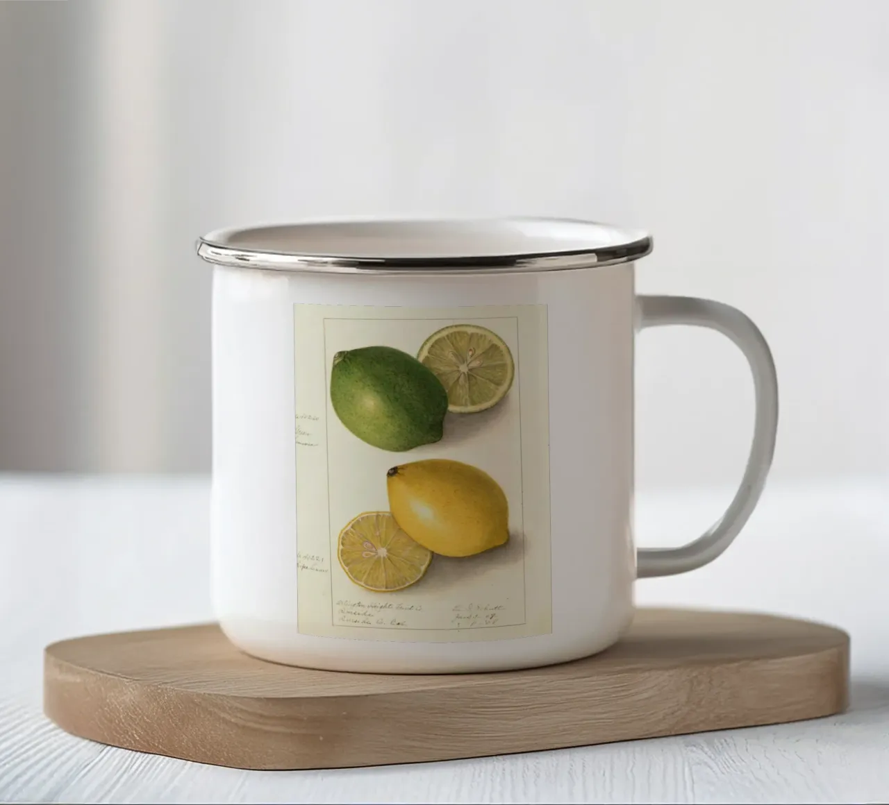 Vintage Lemon & Lime Botanical Print - Citrus Kitchen Art enamel mug by ClubArt