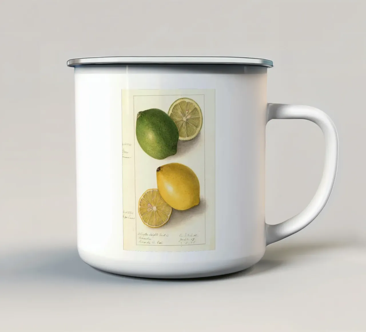 Vintage Lemon & Lime Botanical Print - Citrus Kitchen Art enamel mug by ClubArt