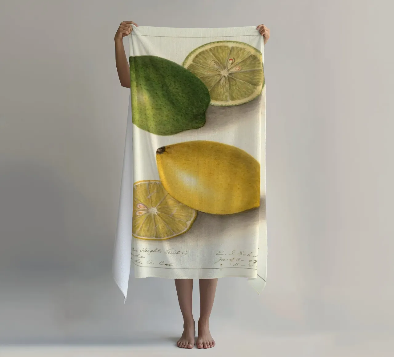 Vintage Lemon & Lime Botanical Print - Citrus Kitchen Art toalla de playa de ClubArt