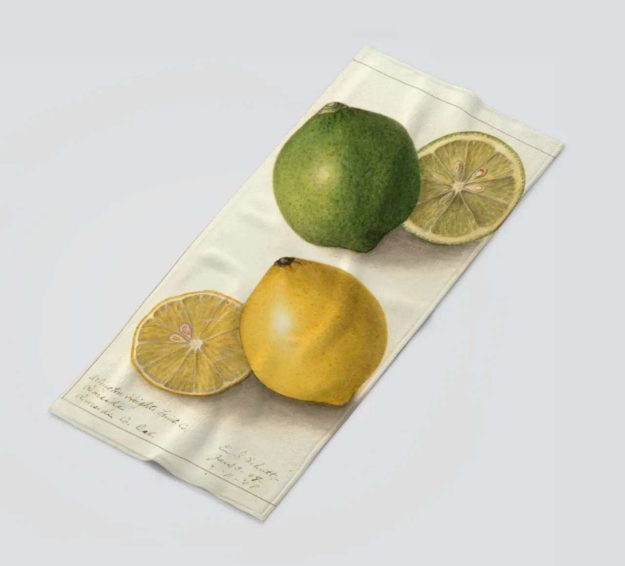Vintage Lemon & Lime Botanical Print - Citrus Kitchen Art toalla de playa de ClubArt