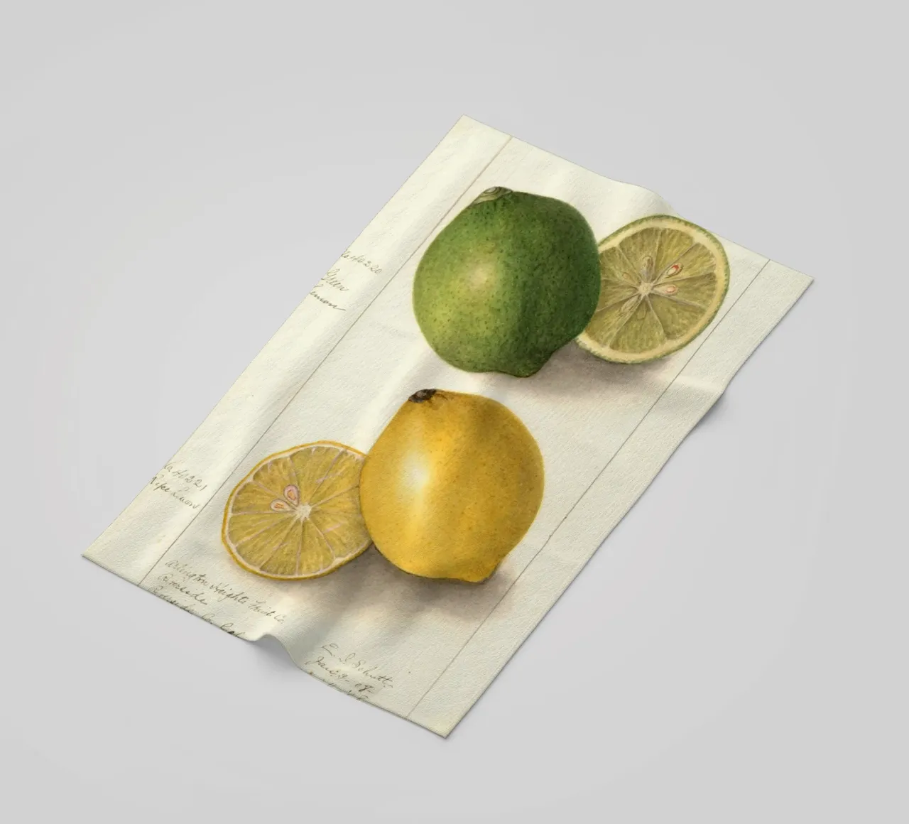 Vintage Lemon & Lime Botanical Print - Citrus Kitchen Art toalla de playa de ClubArt