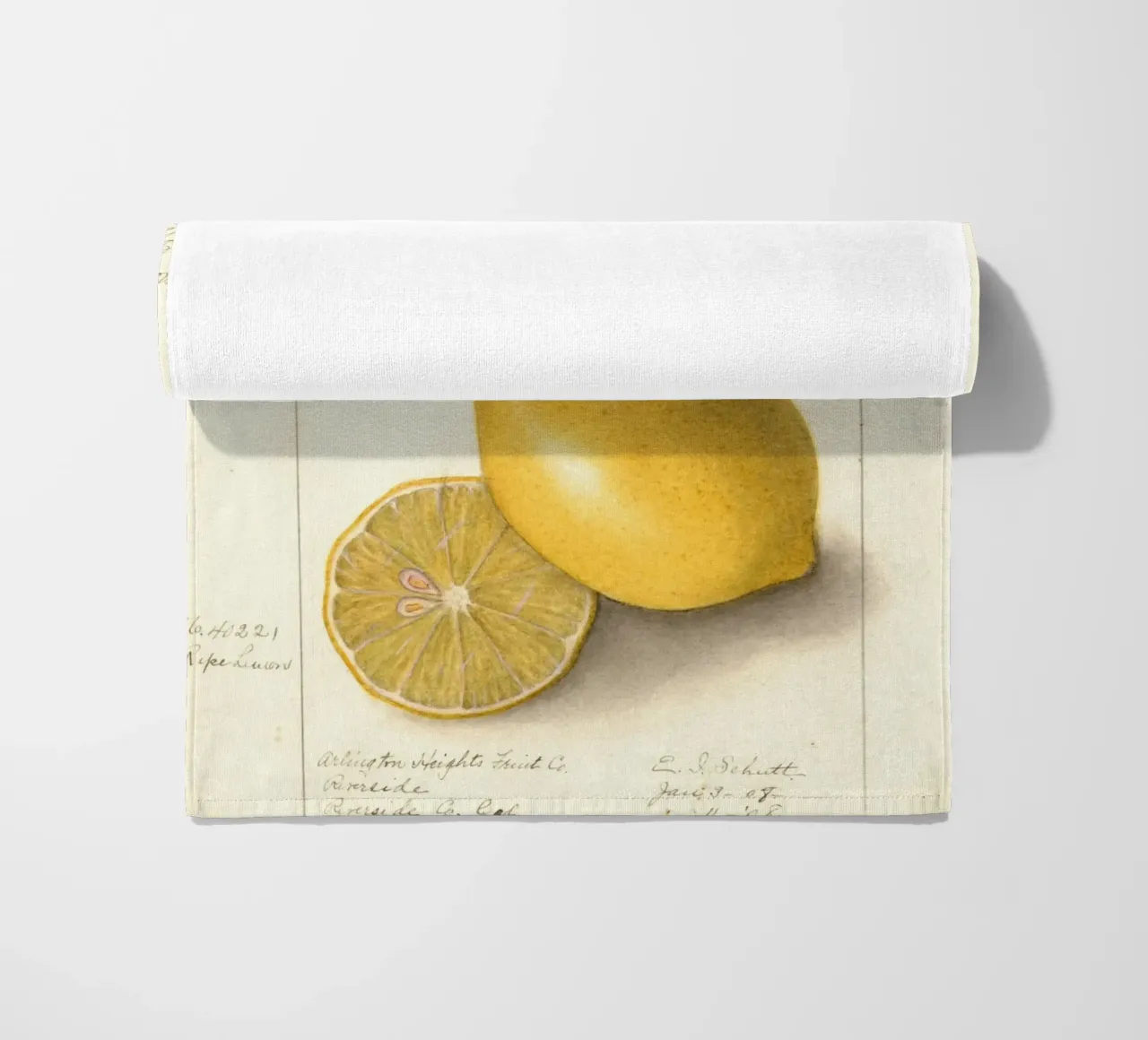 Vintage Lemon & Lime Botanical Print - Citrus Kitchen Art toalla de playa de ClubArt