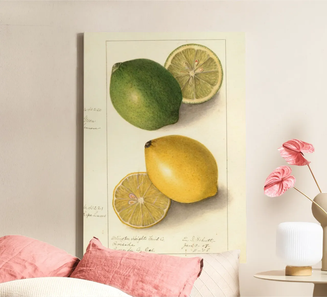 Vintage Lemon & Lime Botanical Print - Citrus Kitchen Art canvas with Floater frame by ClubArt