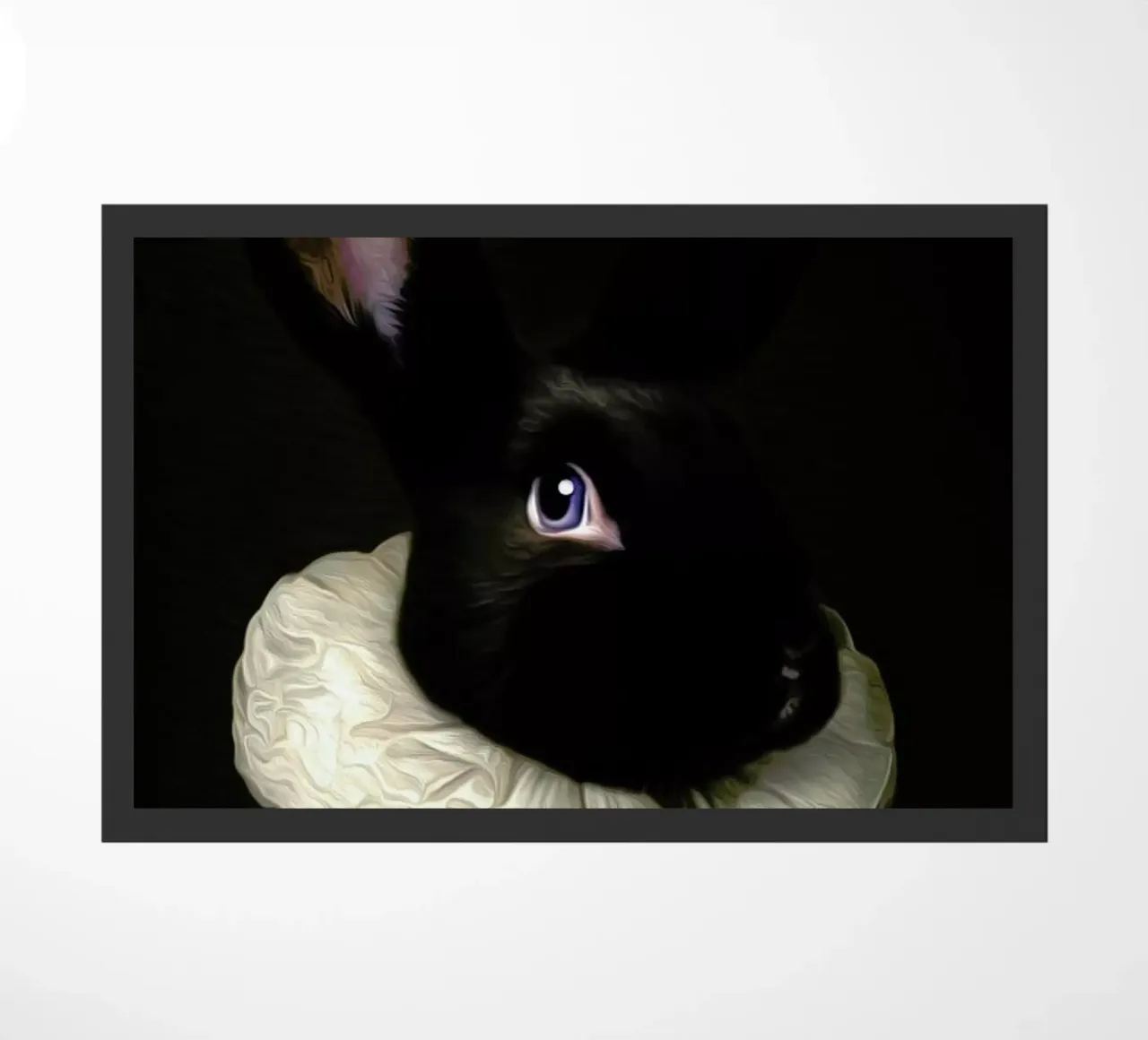 Harper zerbino da Tein Lucasson