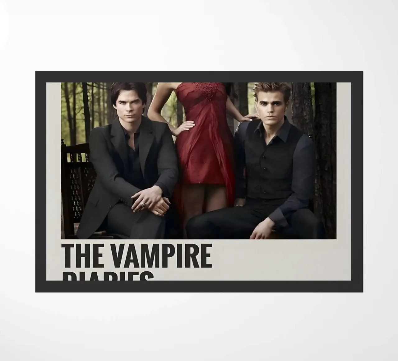 THE VAMPIRE DIARIES 2009 zerbino da MVFminimalist