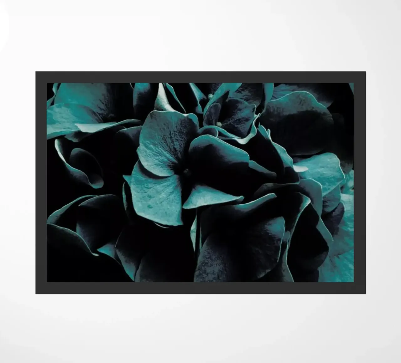 Cold Blossoms zerbino da Sebastian Hilgetag