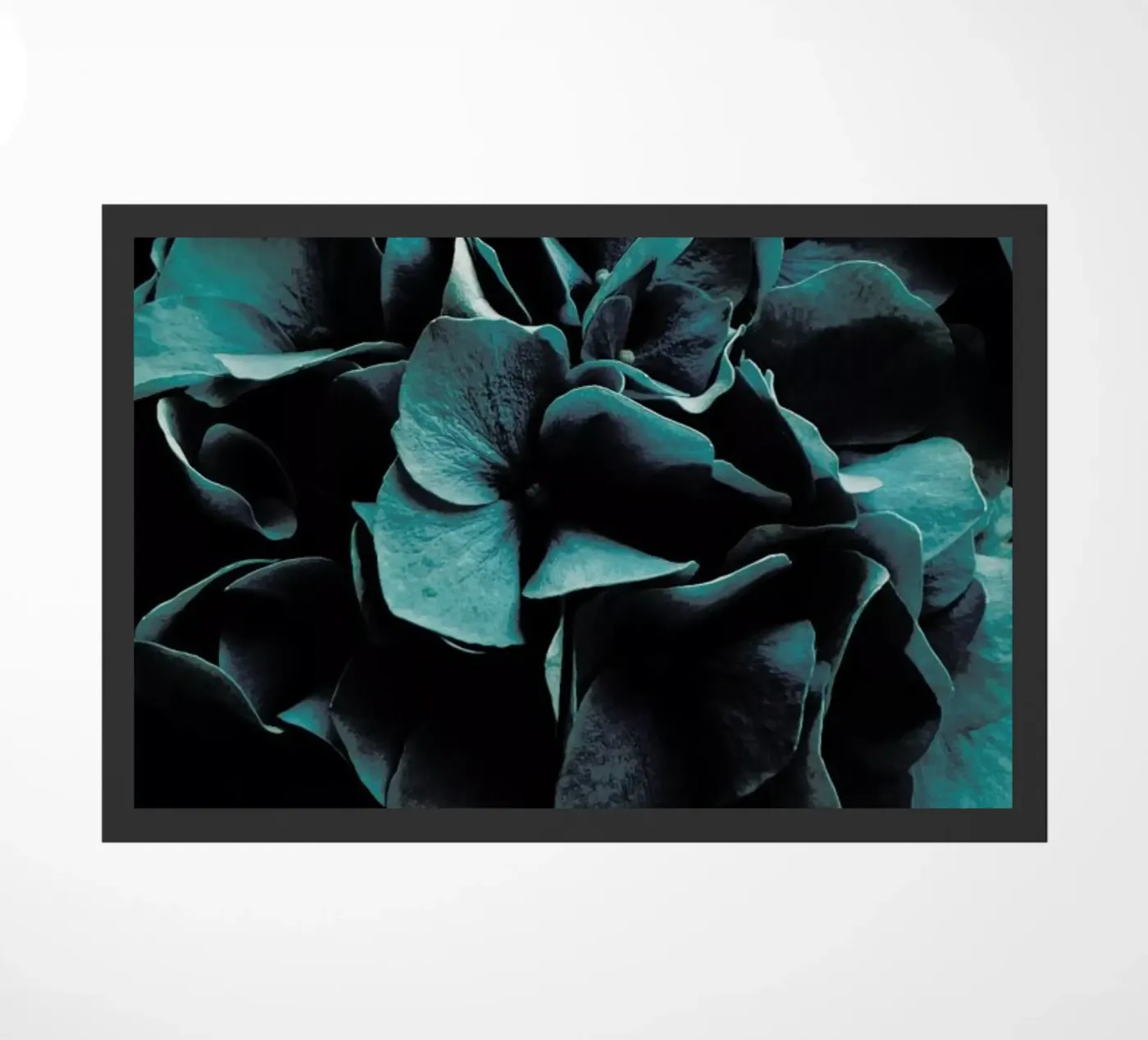 Cold Blossoms zerbino da Sebastian Hilgetag