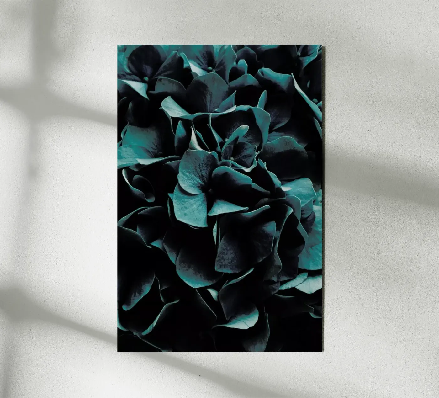 Cold Blossoms alluminio dibond da Sebastian Hilgetag