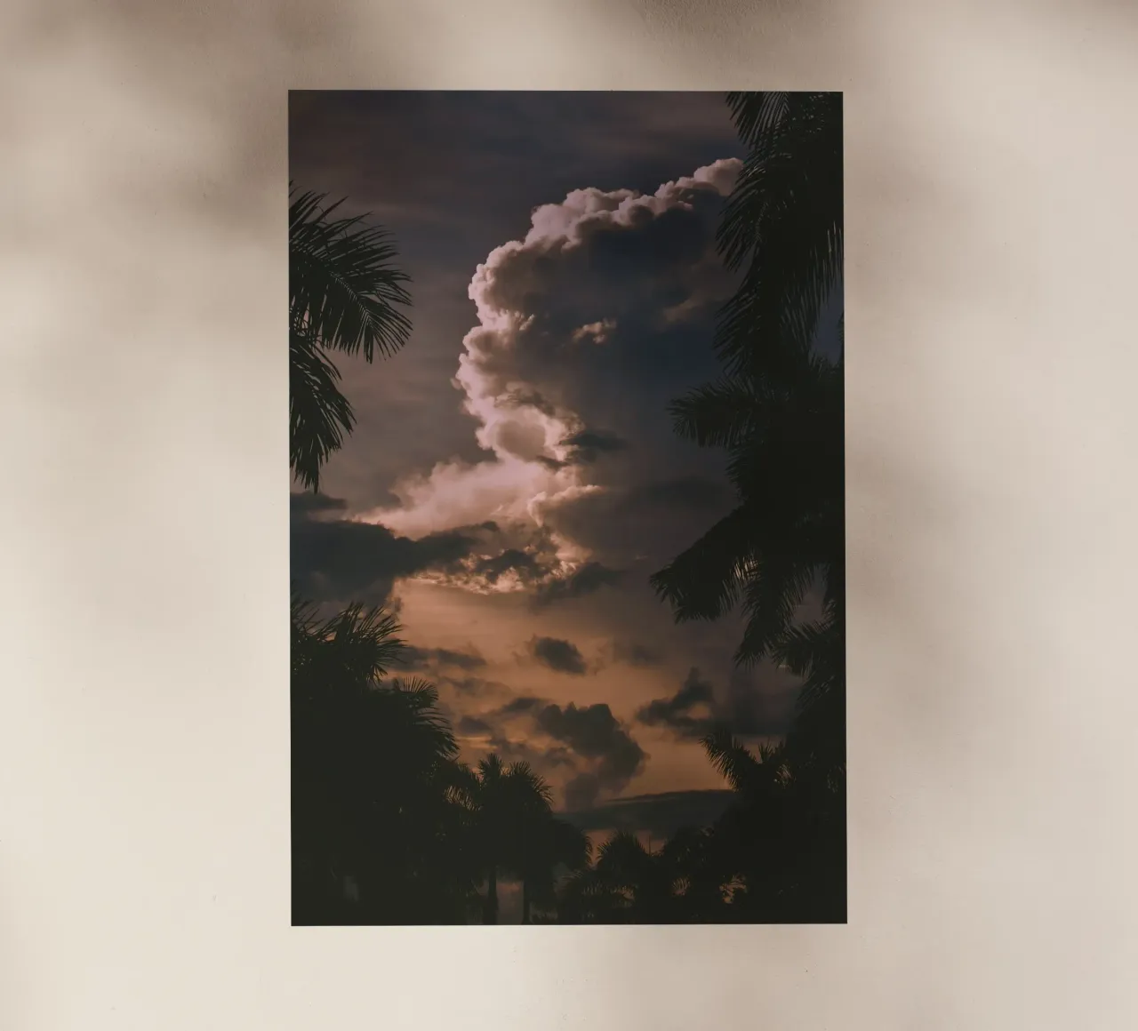 clouds in sunset with palm trees backlit film by home of clouds