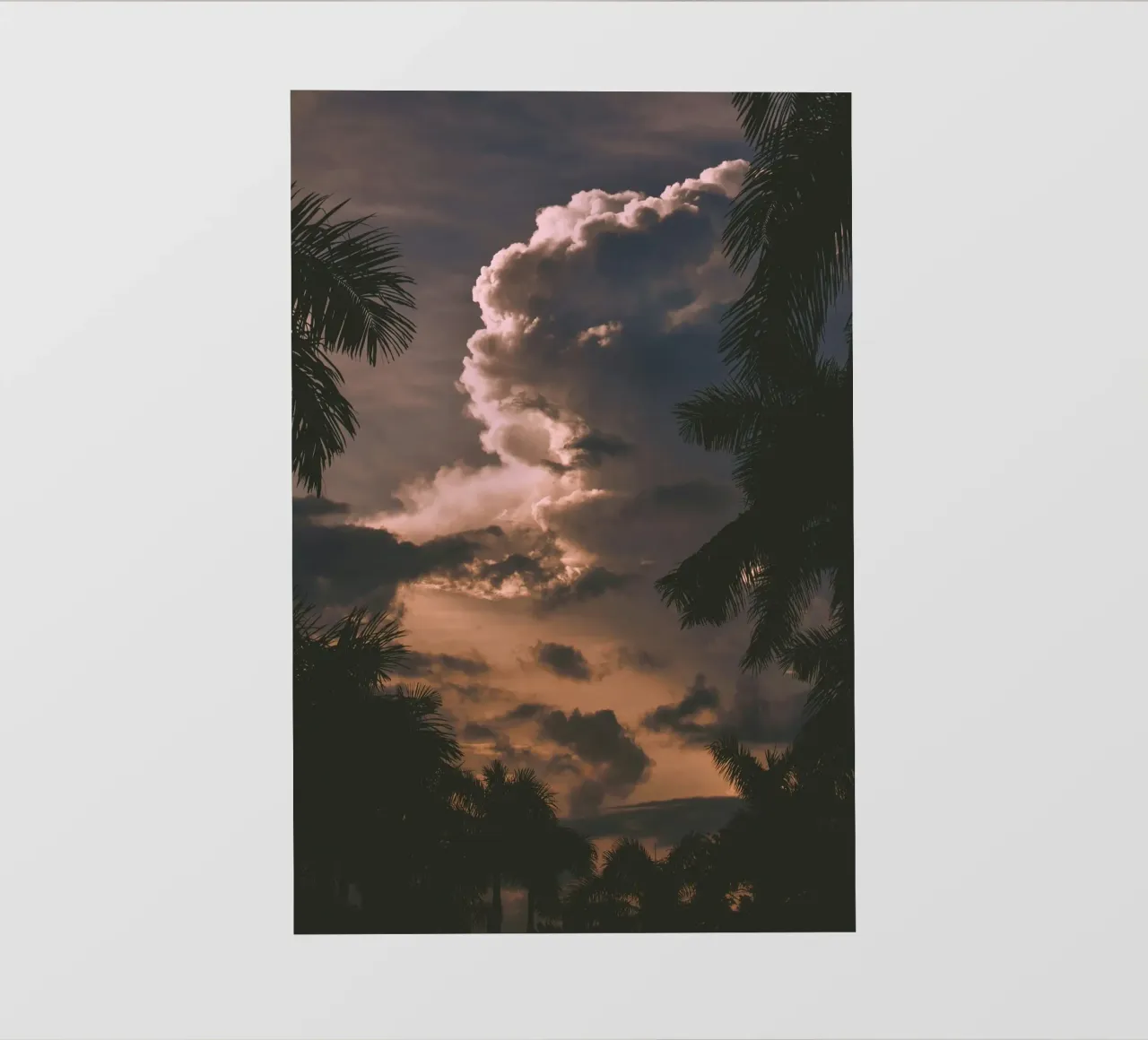 clouds in sunset with palm trees backlit film by home of clouds