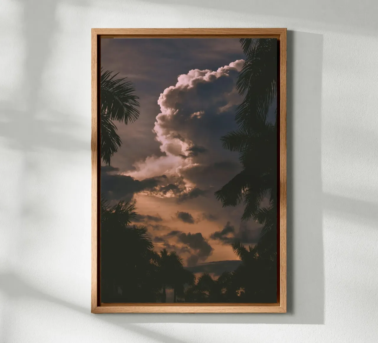 clouds in sunset with palm trees alu-dibond by home of clouds