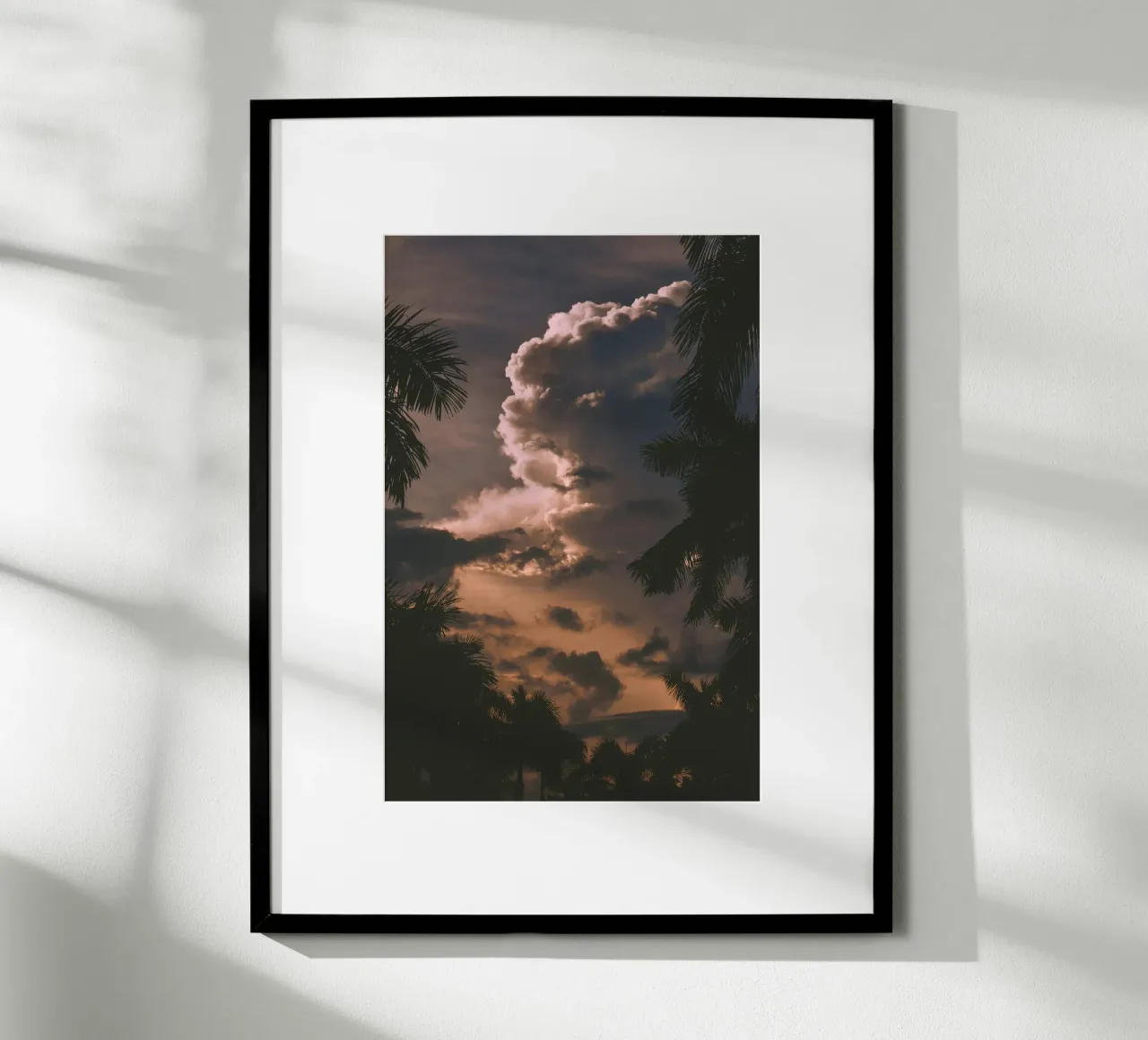 clouds in sunset with palm trees hahnemühle by home of clouds