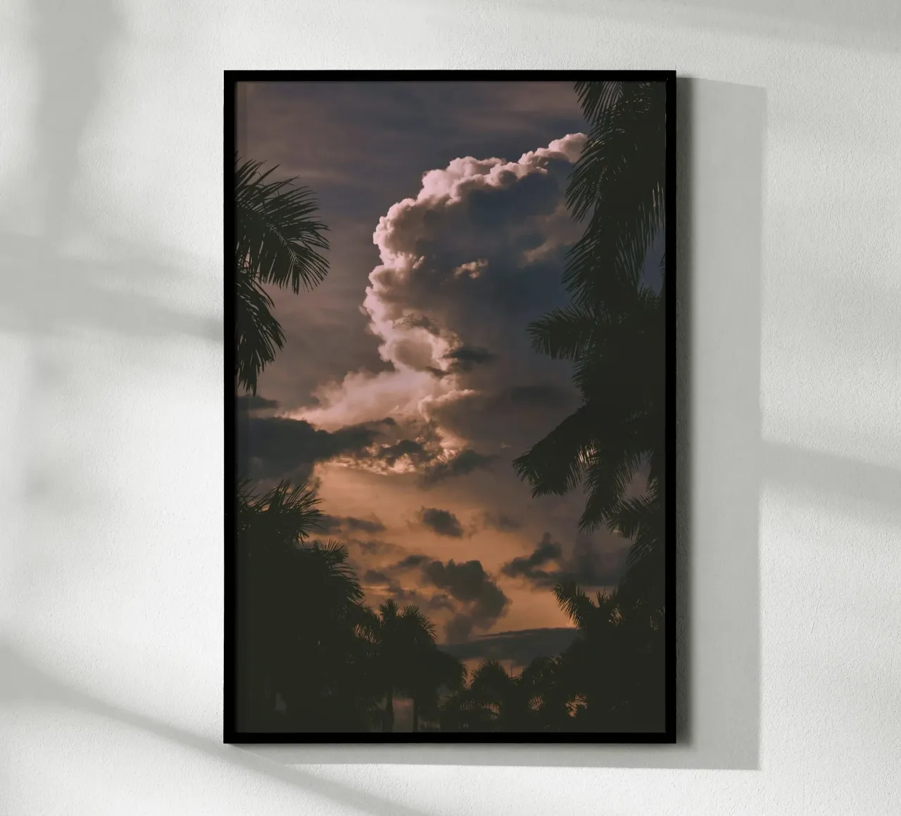 clouds in sunset with palm trees hahnemühle by home of clouds