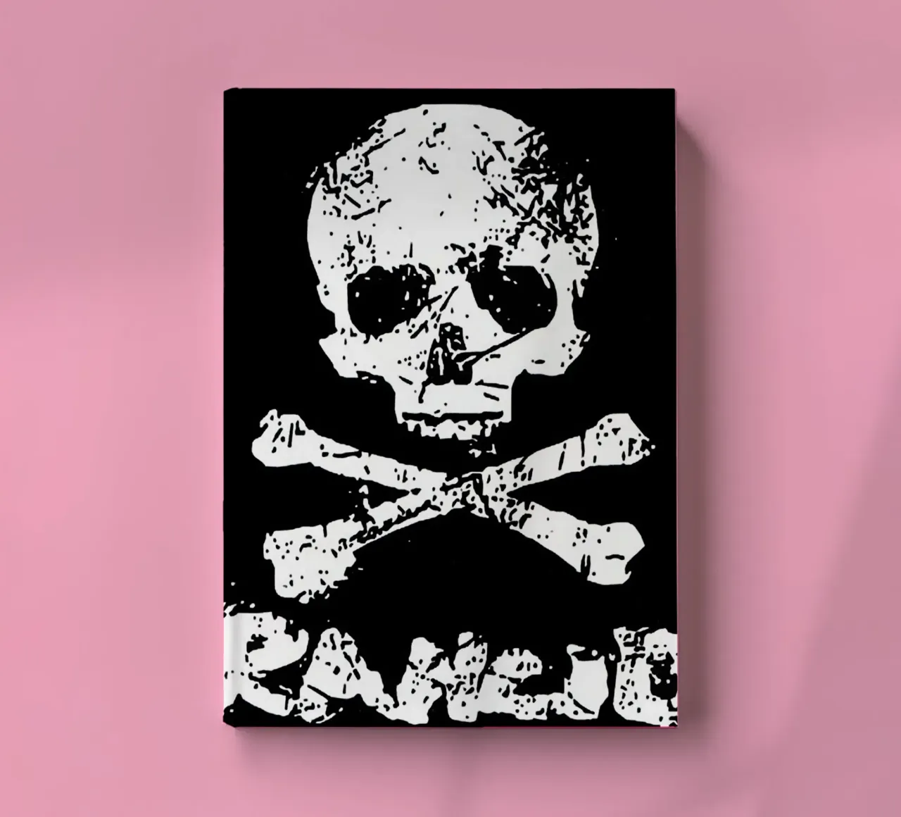 art du groupe rancid carnet de notes de vanhesling