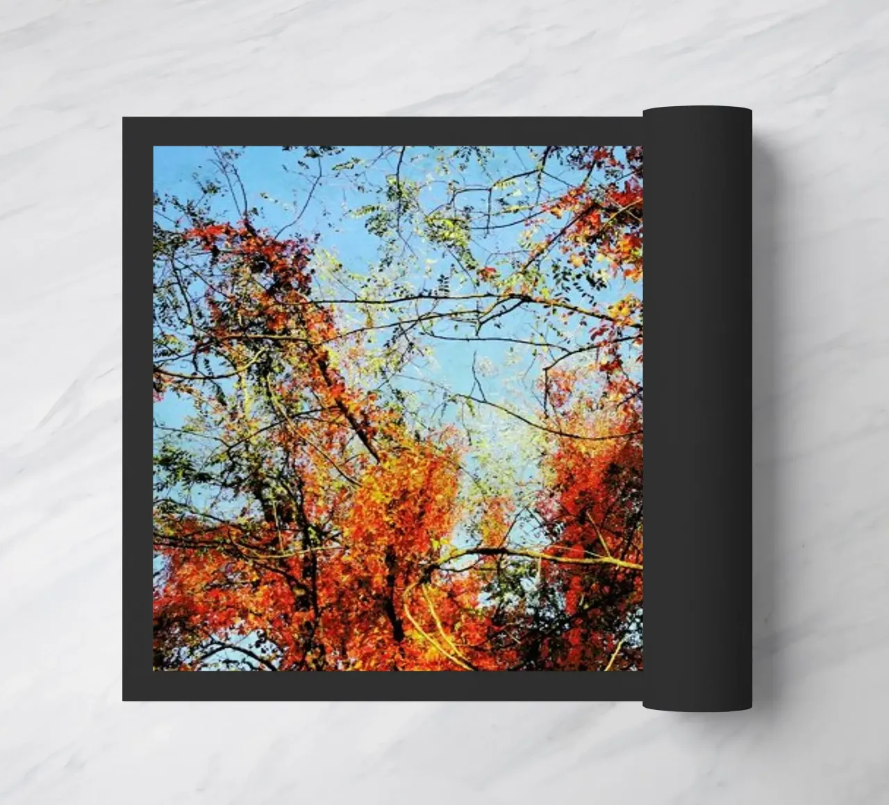 Blush zerbino da Angelo Cerantola