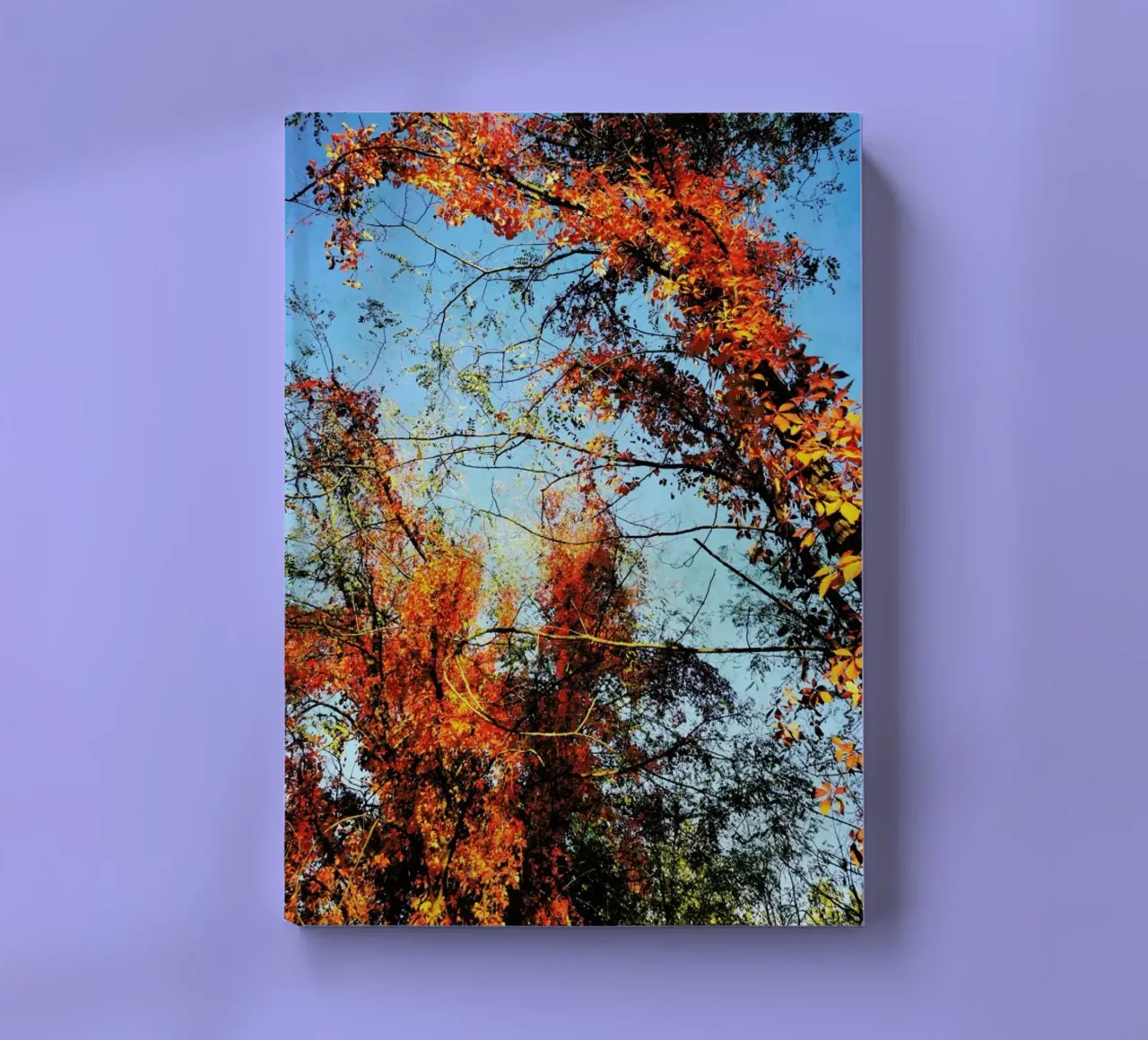 Blush notebook by Angelo Cerantola