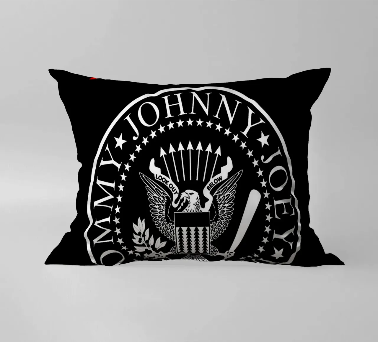 banda dei ramones cuscino da vanhesling
