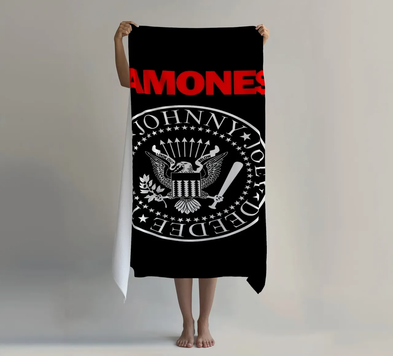 banda dei ramones telo mare da vanhesling