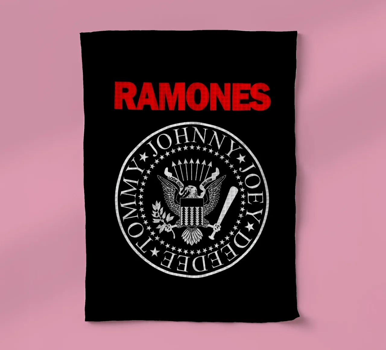 groupe ramones torchon de vanhesling