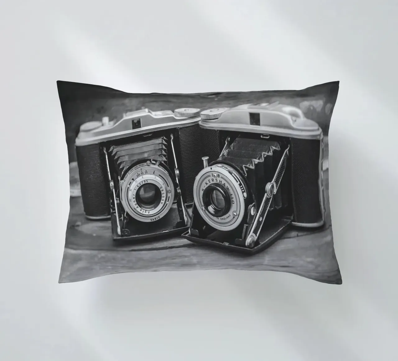 Two folding cameras cuscino da Dave Hare Photography