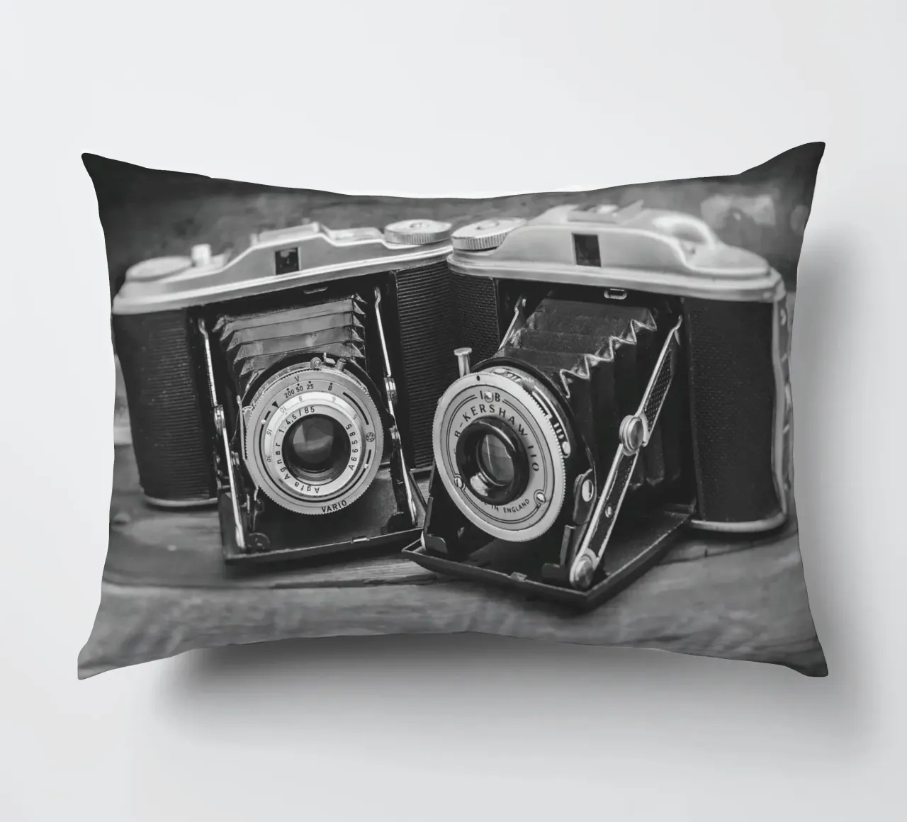 Two folding cameras cuscino da Dave Hare Photography